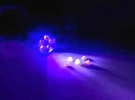 Latarka na bursztyn UV Amber Dark Night