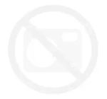 149.webp